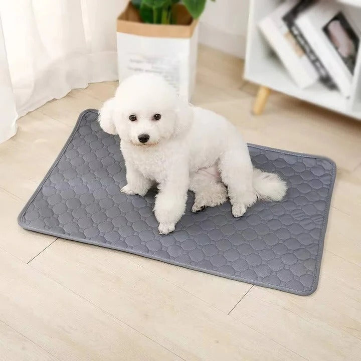 Reusable Dog Pee Pad - Four Layer Construction with TPU Base for Superior Absorbency and Leak Protection