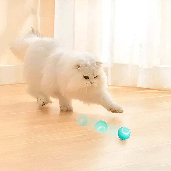 USB Rechargeable Automatic Rolling Pet Ball for Cats & Dogs - Interactive Toy for Active Play