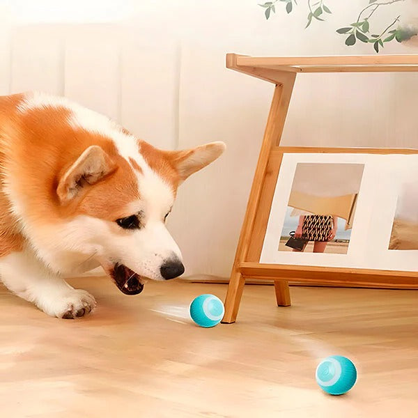 USB Rechargeable Automatic Rolling Pet Ball for Cats & Dogs - Interactive Toy for Active Play