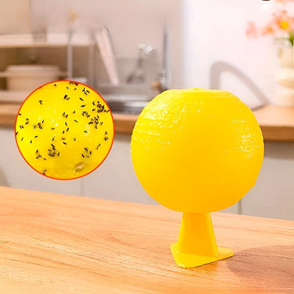 Set of 6 Adhesive Sticky Hanging Fly Traps - Effective Insect Control for Home & Garden
