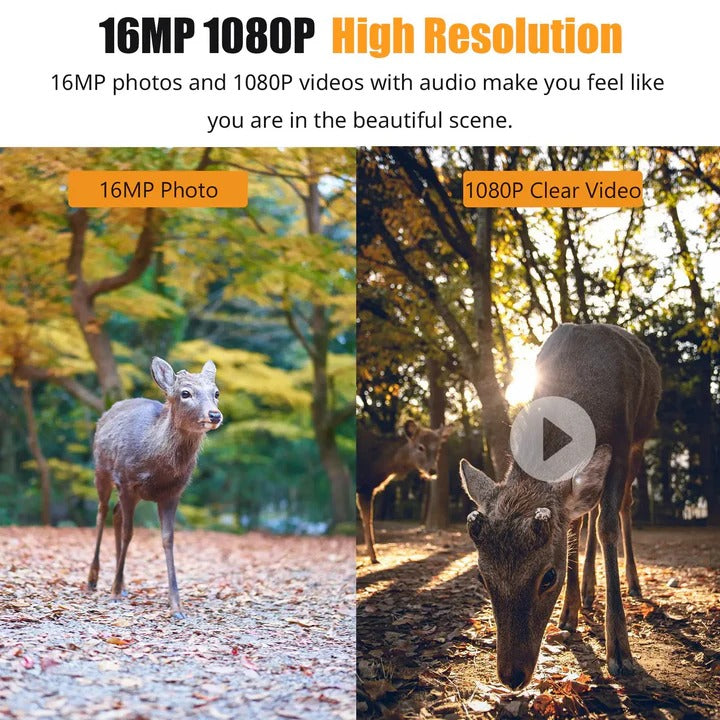 1080P HD Trail Camera with Motion Sensor, Night Vision LEDs & Wildlife Monitoring Features