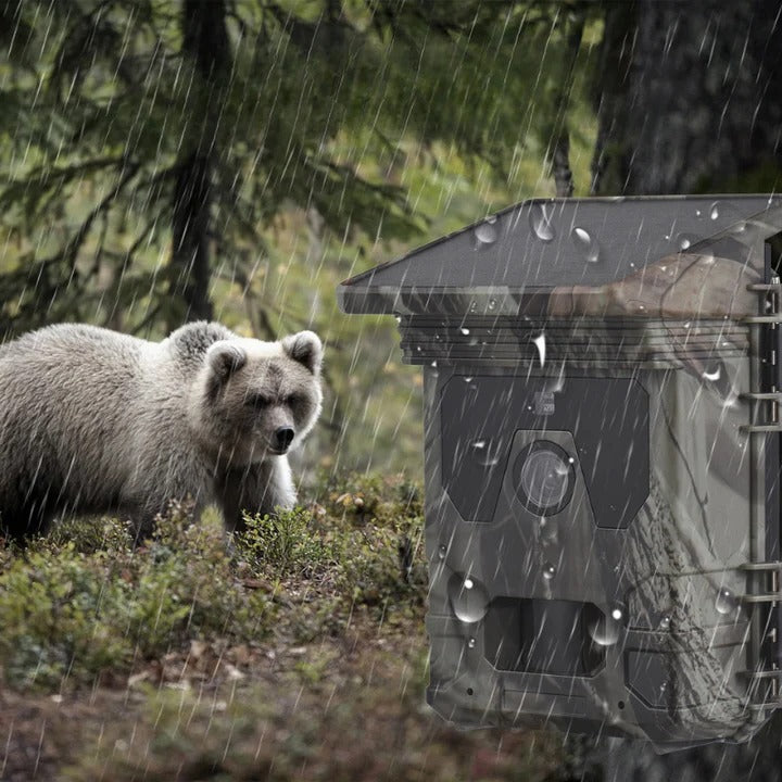 Solar Powered Trail Camera with Night Vision | Weatherproof Outdoor Wildlife Camera
