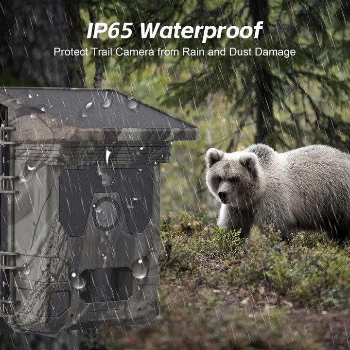 Solar Powered Trail Camera with Night Vision | Weatherproof Outdoor Wildlife Camera