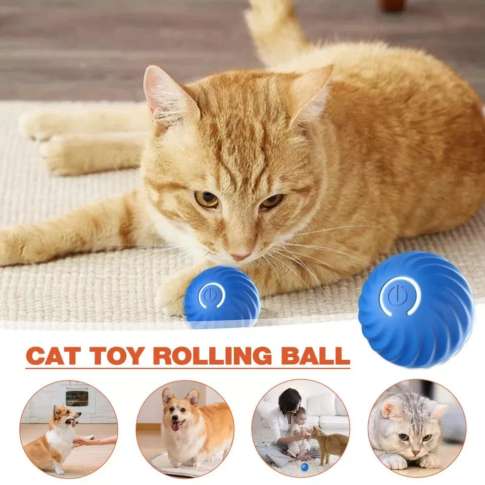 Interactive Motion-Activated Rolling Ball Toy for Pets – Engaging & Stimulating Playtime Fun