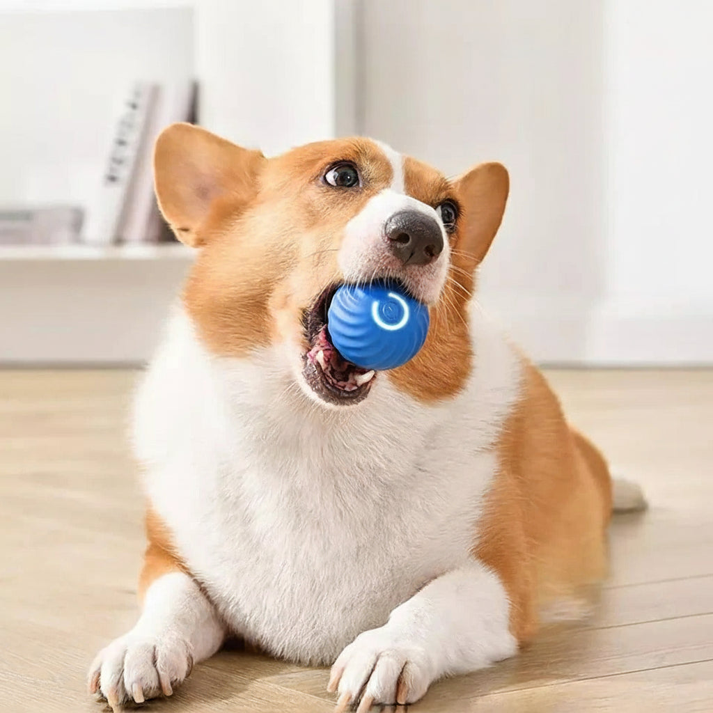 Interactive Motion-Activated Rolling Ball Toy for Pets – Engaging & Stimulating Playtime Fun