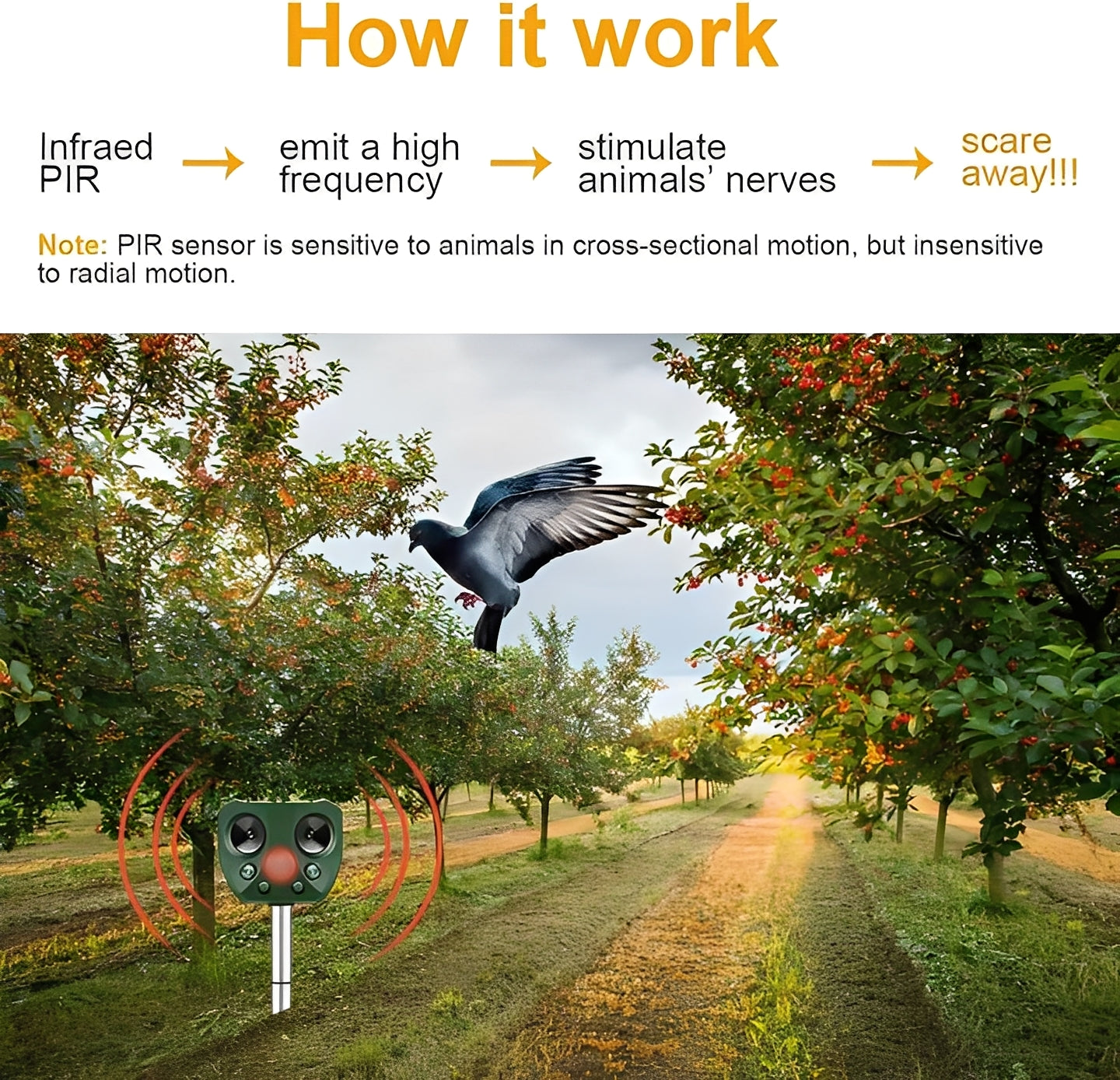 Ultrasonic Motion Sensor Bird and Pest Deterrent Device - Effective Animal Repellent for Gardens and Yards
