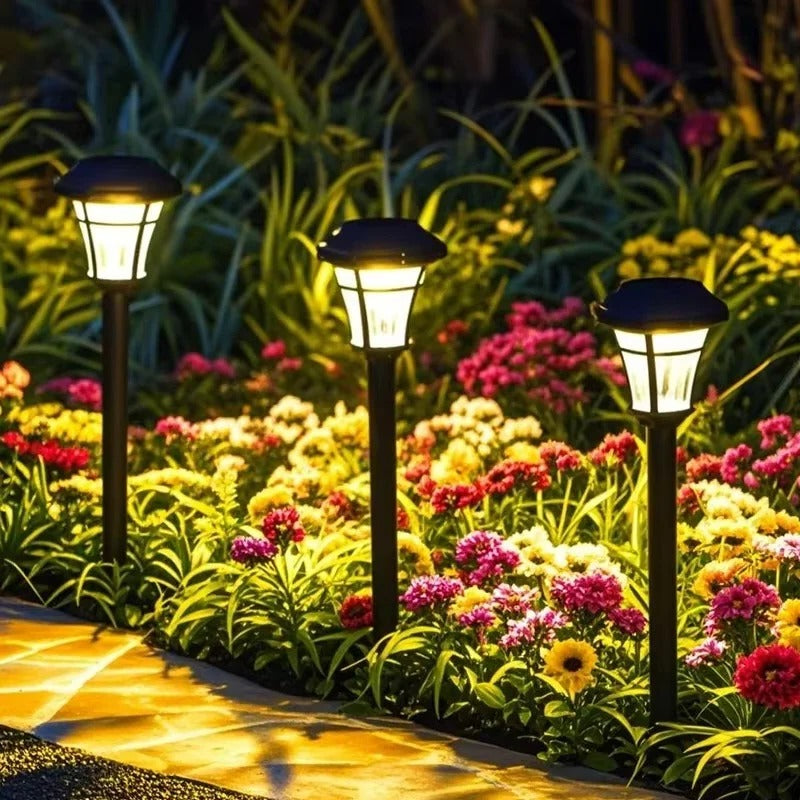 Set of 4 Outdoor Solar LED Garden and Pathway Lights - Eco-Friendly, Waterproof, and Energy-Efficient Lighting Solution