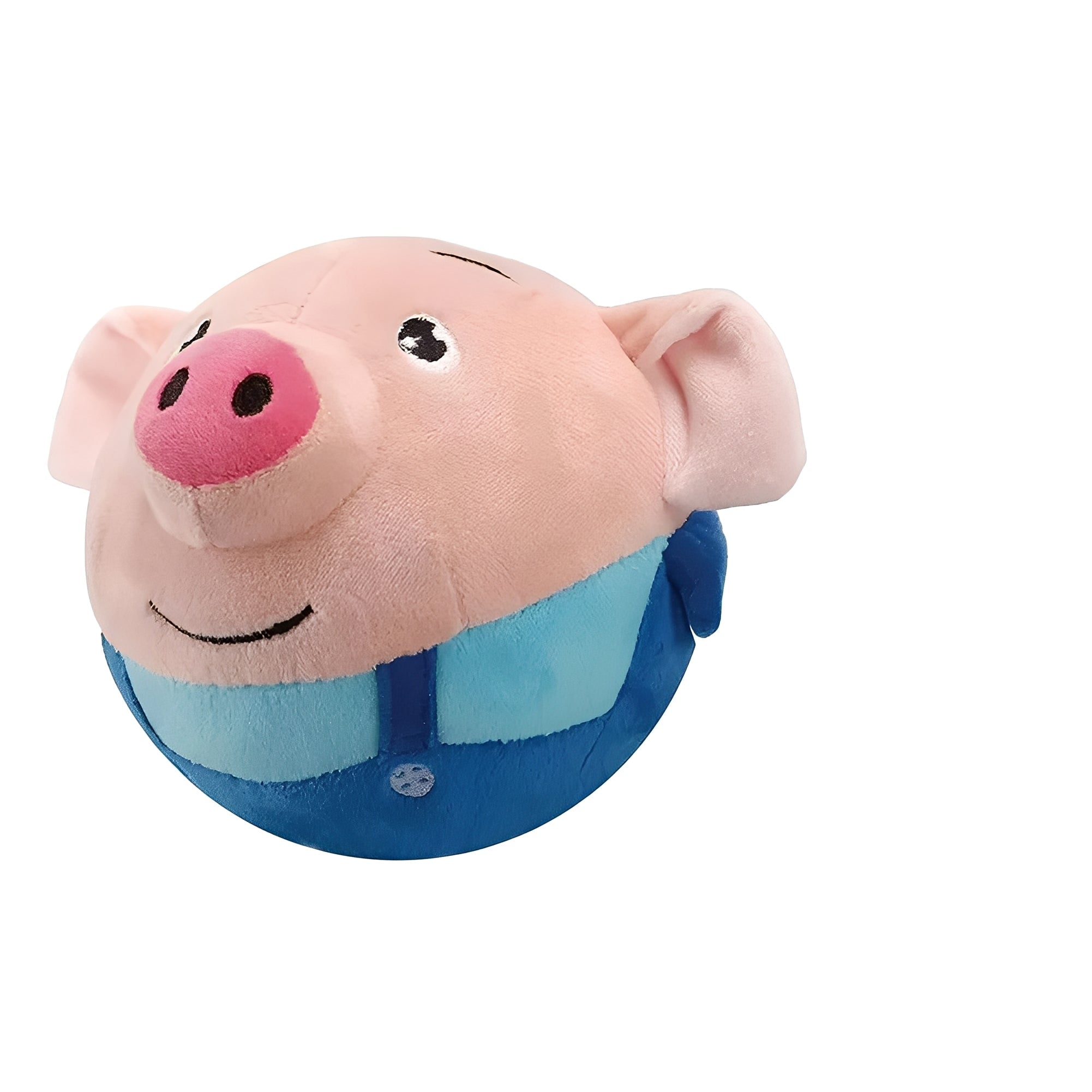 Interactive Dog Toy Ball with Touch-Activated Music & Motion Features - Engaging Playtime for Dogs