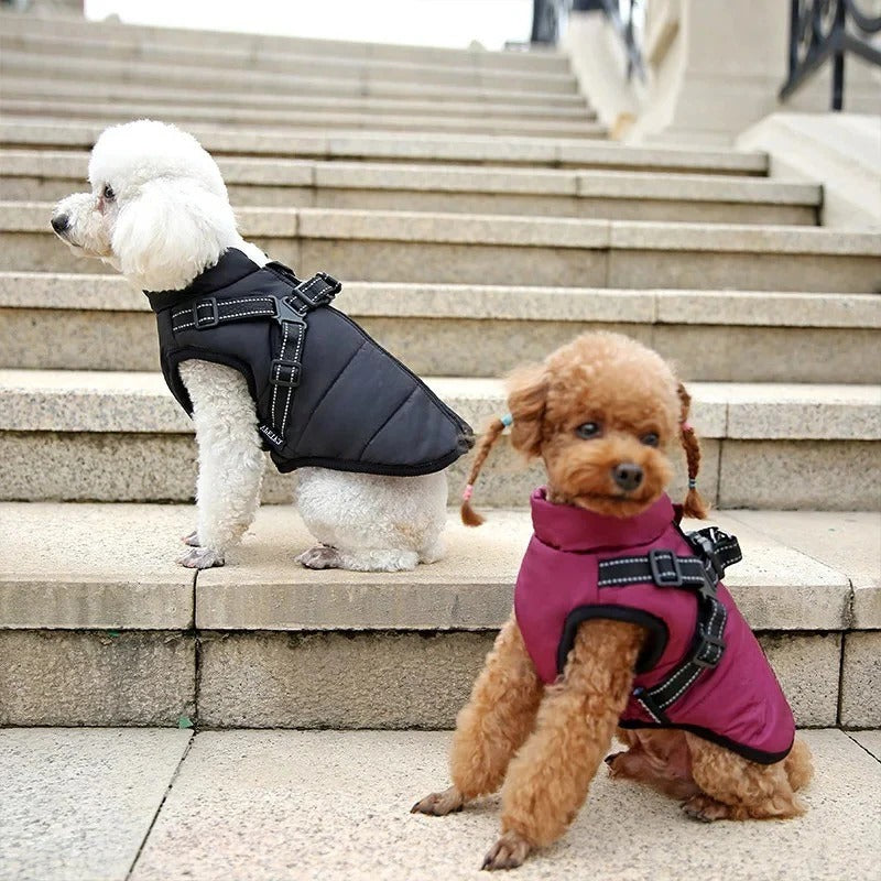 Premium Insulated Dog Coat with Built-In Harness - Perfect for Cold Weather Protection