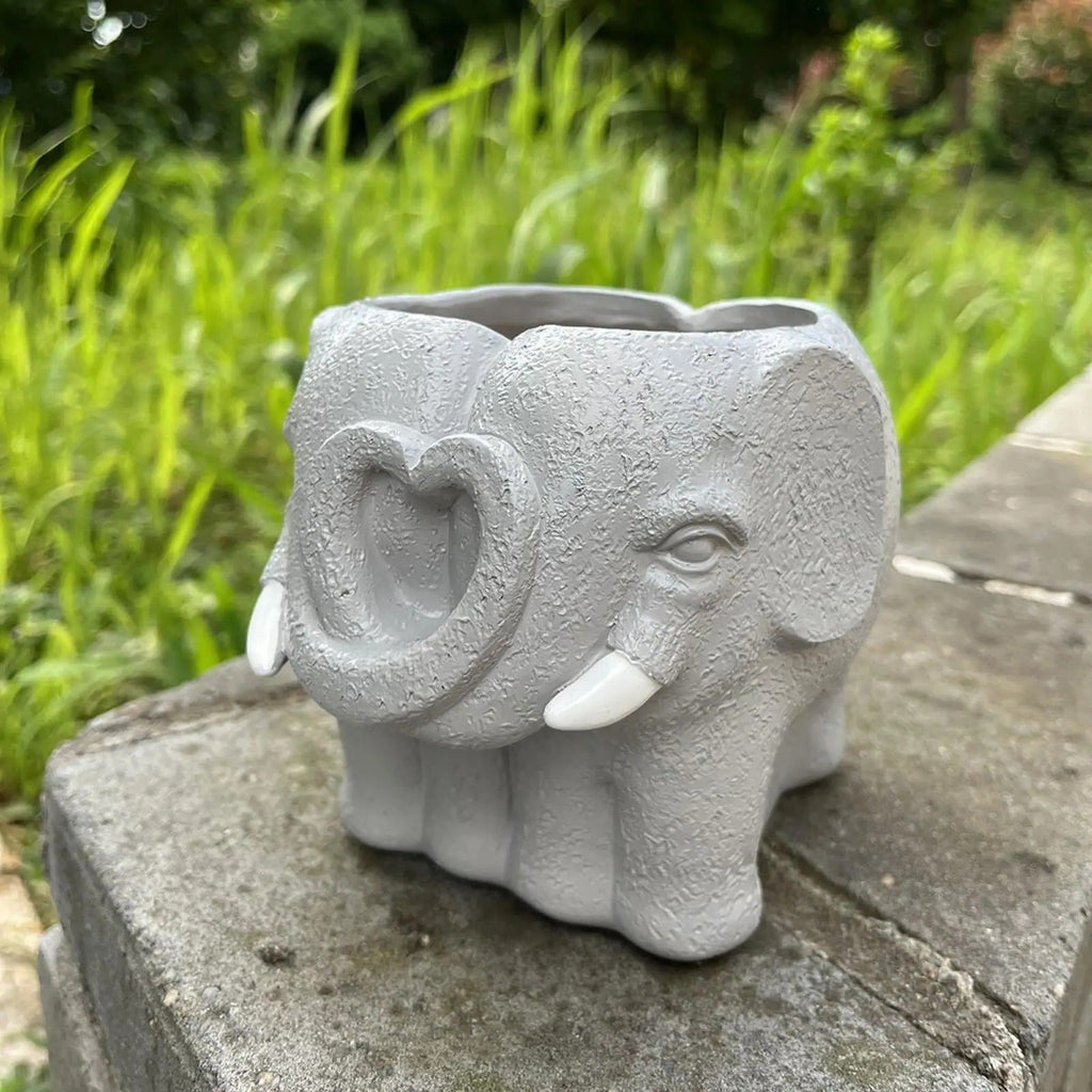 Adorable Small Cartoon Succulent Plant Pot - Perfect for Home Decor & Indoor Display