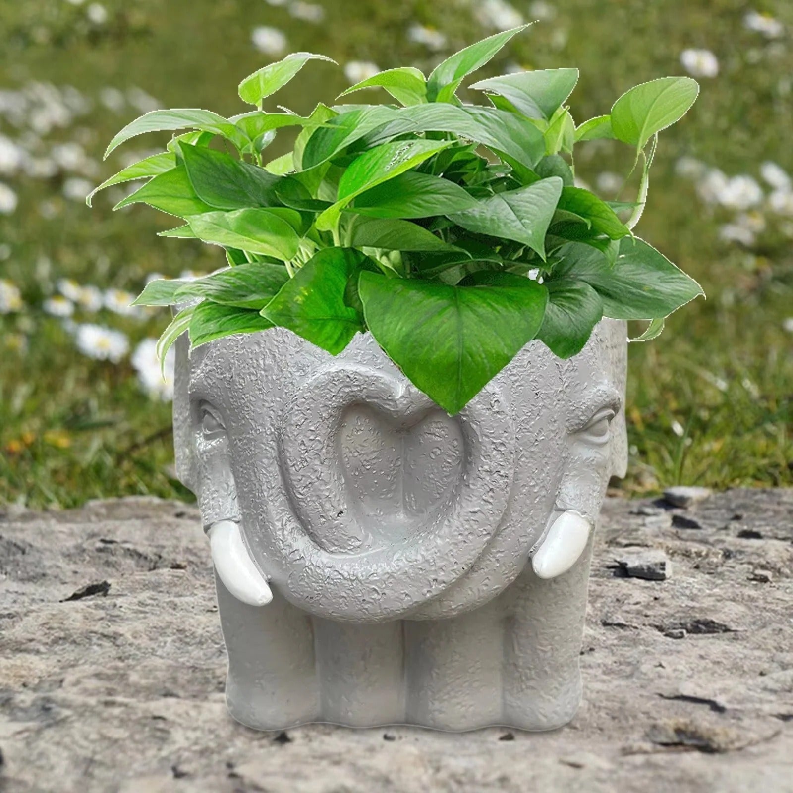 Adorable Small Cartoon Succulent Plant Pot - Perfect for Home Decor & Indoor Display