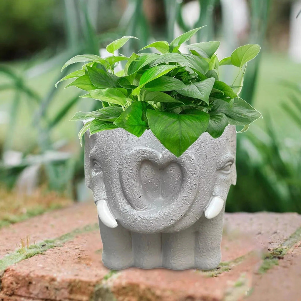 Adorable Small Cartoon Succulent Plant Pot - Perfect for Home Decor & Indoor Display