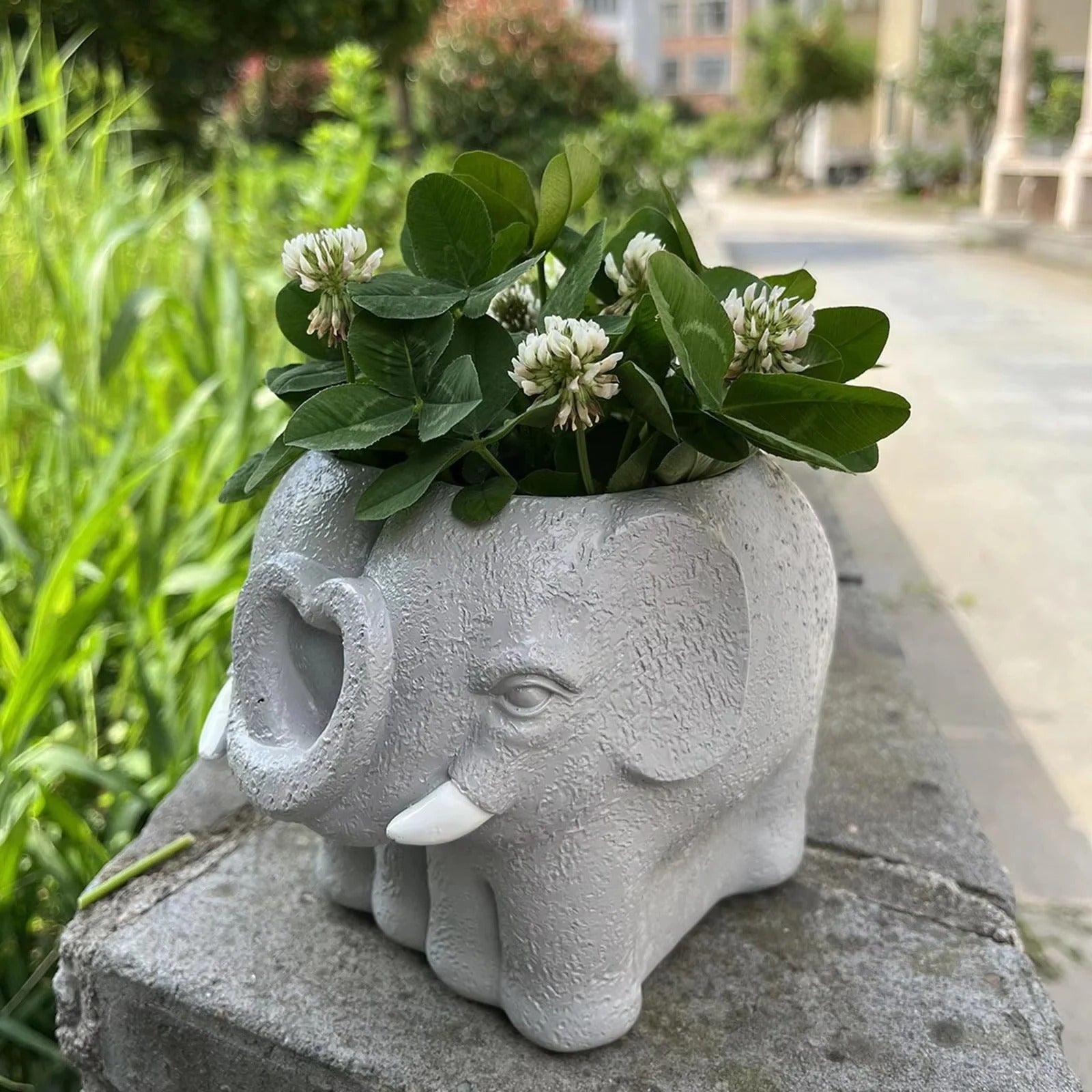 Adorable Small Cartoon Succulent Plant Pot - Perfect for Home Decor & Indoor Display