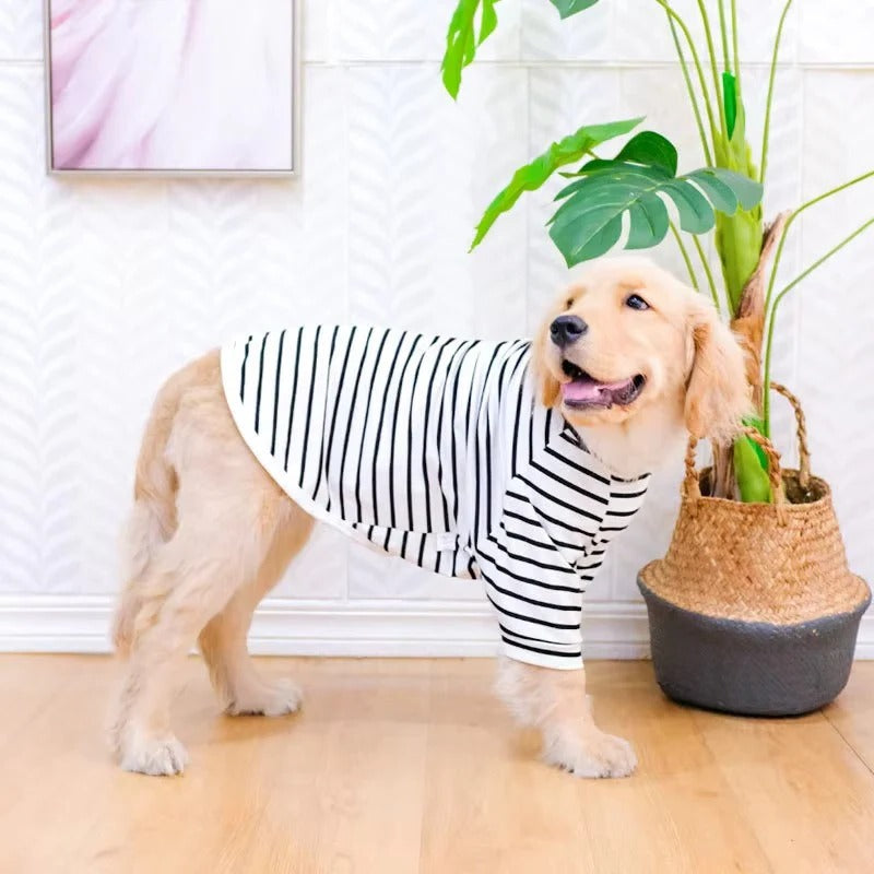 Lightweight Cotton Stripe T-Shirt for Dogs - Summer Apparel, Comfortable Fit