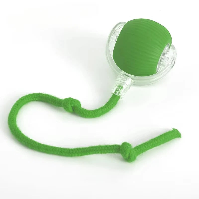 Motorized Rolling Cat Toy with Interactive Fiber Tail - Engaging Play for Cats