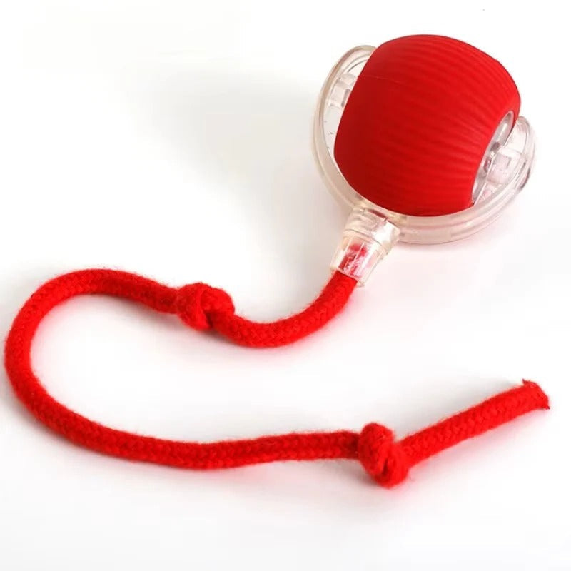 Motorized Rolling Cat Toy with Interactive Fiber Tail - Engaging Play for Cats