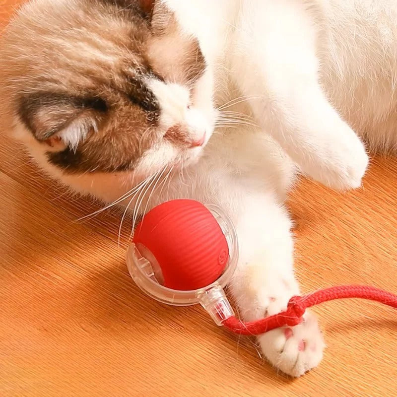 Motorized Rolling Cat Toy with Interactive Fiber Tail - Engaging Play for Cats