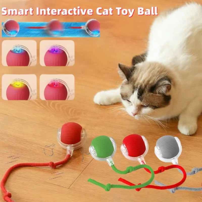 Motorized Rolling Cat Toy with Interactive Fiber Tail - Engaging Play for Cats