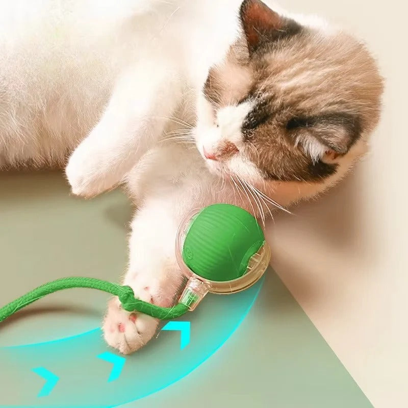 Motorized Rolling Cat Toy with Interactive Fiber Tail - Engaging Play for Cats