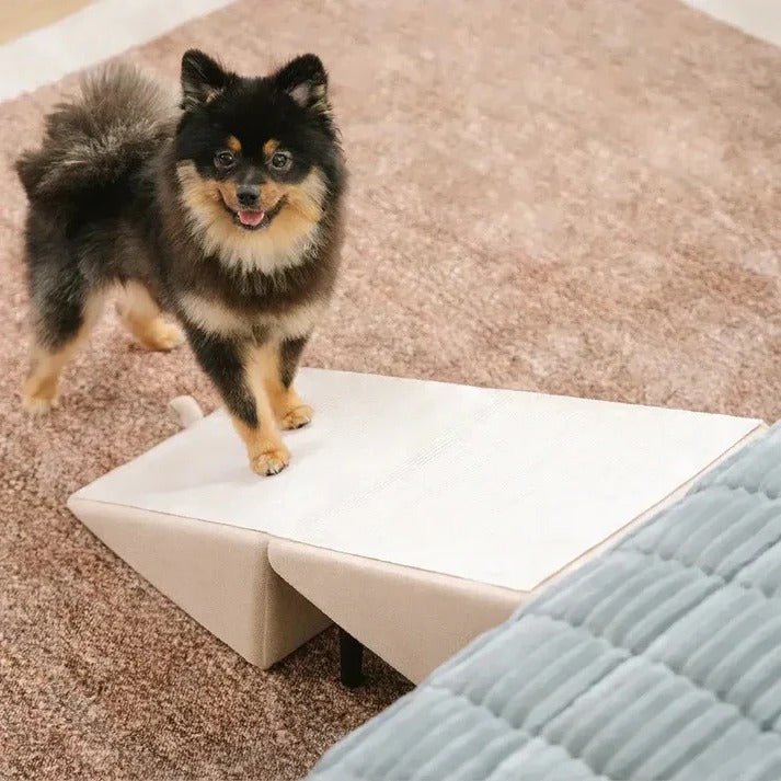Adjustable 2-in-1 Pet Ramp & Step Stool - Versatile Pet Access Solution for Dogs & Cats