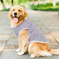 Large Breed Dog Shirt - Breathable Cotton Fabric for Ultimate Comfort & Style