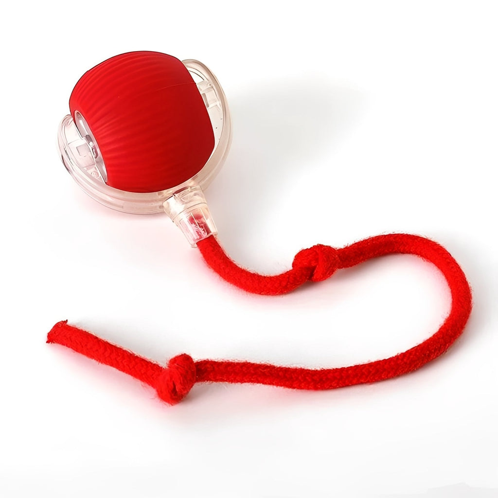 Interactive Rolling Ball Toy with Wagging Tail for Dogs - Engaging Playtime Fun & Exercise