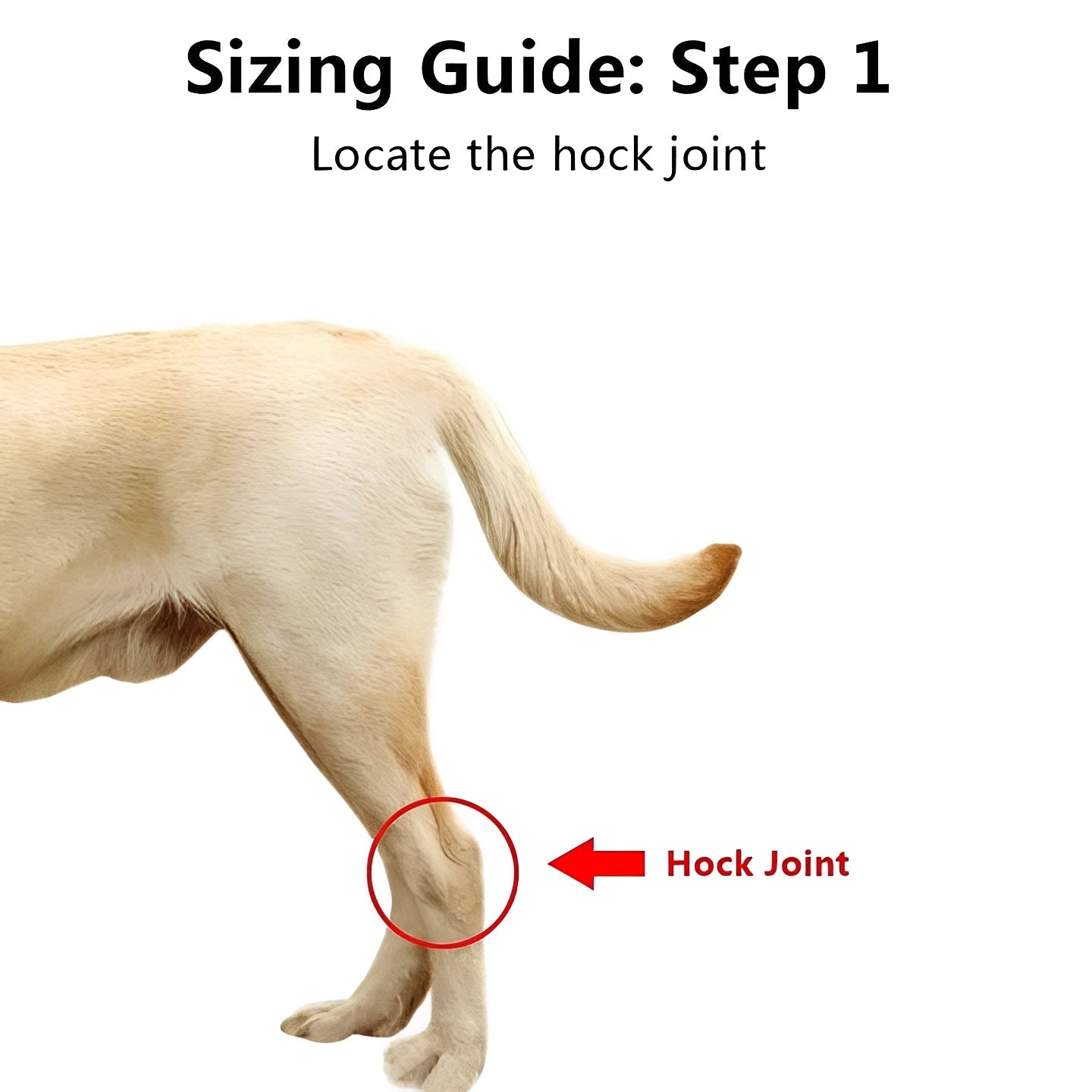 Adjustable Dog Leg Support Brace - Premium Canine Limb Stabilizer with Customizable Straps for Optimal Comfort and Mobility