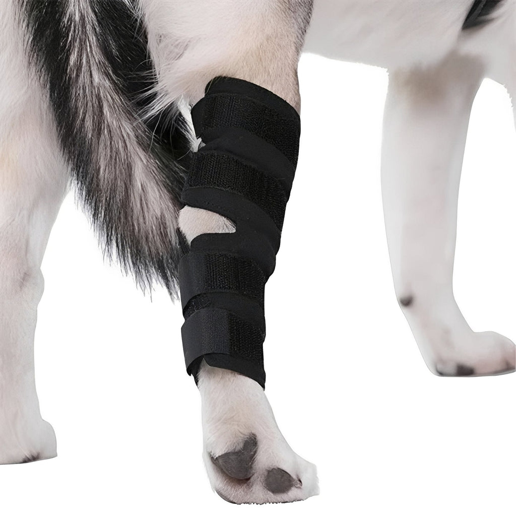 Adjustable Dog Leg Support Brace - Premium Canine Limb Stabilizer with Customizable Straps for Optimal Comfort and Mobility