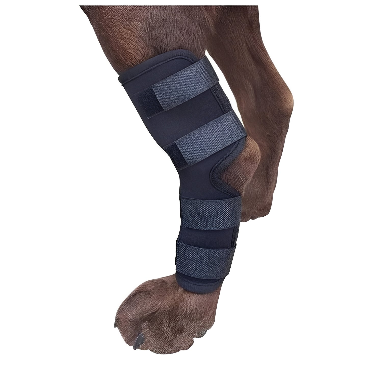 Adjustable Dog Leg Support Brace - Premium Canine Limb Stabilizer with Customizable Straps for Optimal Comfort and Mobility