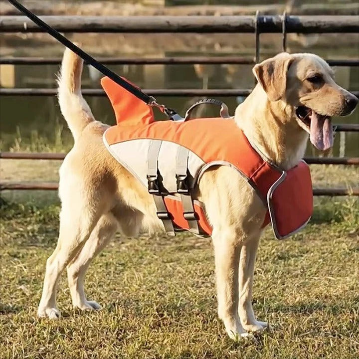 Premium Floating Life Jacket for Dogs - Buoyancy Support & Safety Harness for Water Activities