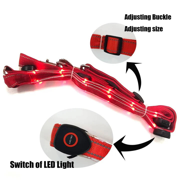 LED Light-Up Horse Breast Collar - Adjustable & Durable Equine Gear for Night Riding & Visibility