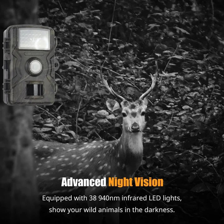 1080P Night Vision Trail Camera - Wildlife Monitoring & Motion Detection