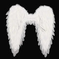 Realistic Feather Angel Wings Costume - Stunning Design for Halloween & Dress-Up