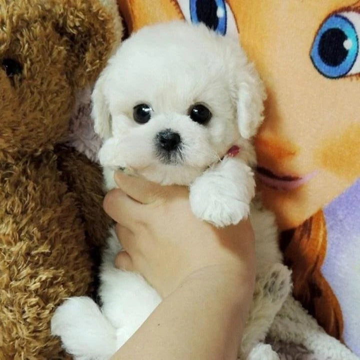 Ultra-Realistic Plush Puppy Toy - Soft Fur Texture, Perfect for Cuddling and Play