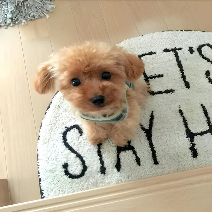 Ultra-Realistic Plush Puppy Toy - Soft Fur Texture, Perfect for Cuddling and Play