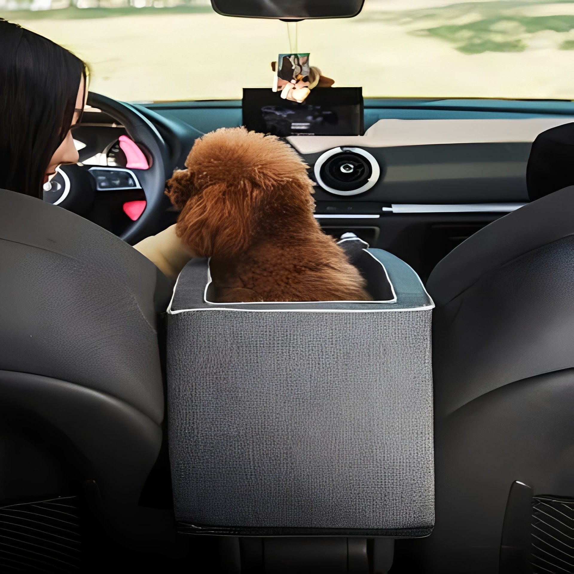 Compact Pet Travel Seat for Cars - Armrest Mount with Zipper Closure for Small Pets - Safe & Comfortable Travel Solution
