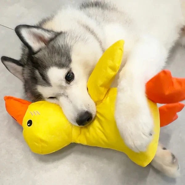 Durable Duck Shaped Squeaky Dog Toy - Reinforced Stitching for Extra Toughness | Perfect for Playtime & Fetch