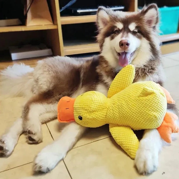 Durable Duck Shaped Squeaky Dog Toy - Reinforced Stitching for Extra Toughness | Perfect for Playtime & Fetch