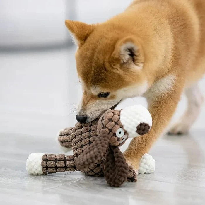Durable Reinforced Squeaky Plush Dog Toy - Extra Strong Stitching for Long-Lasting Fun