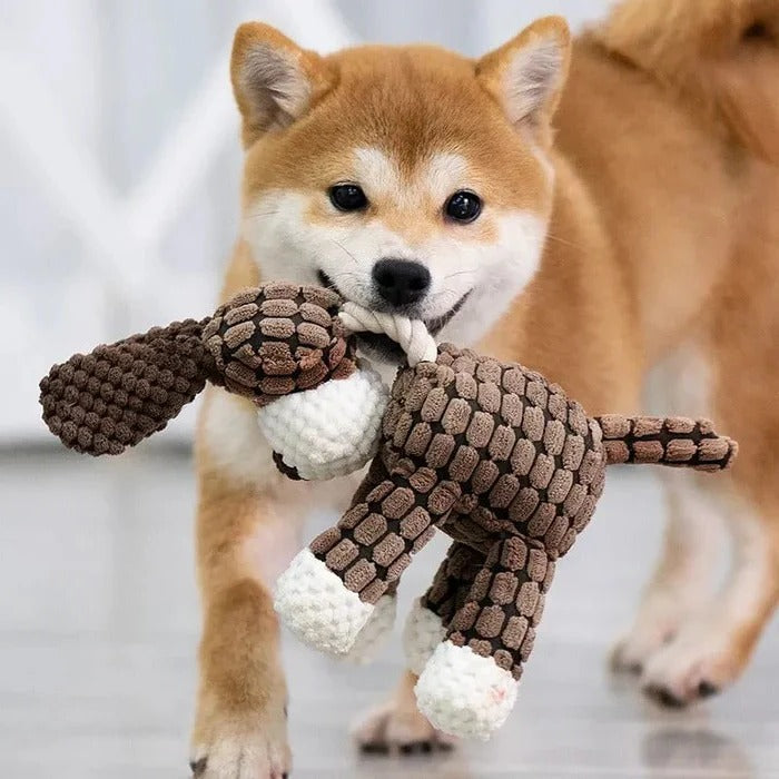 Durable Reinforced Squeaky Plush Dog Toy - Extra Strong Stitching for Long-Lasting Fun