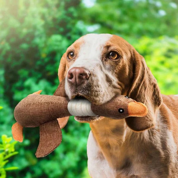 Durable Reinforced Goose Plush Dog Toy with Textured Fabric for Ultimate Chewing Fun