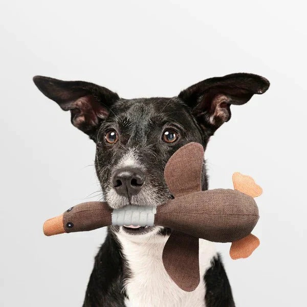 Durable Reinforced Goose Plush Dog Toy with Textured Fabric for Ultimate Chewing Fun