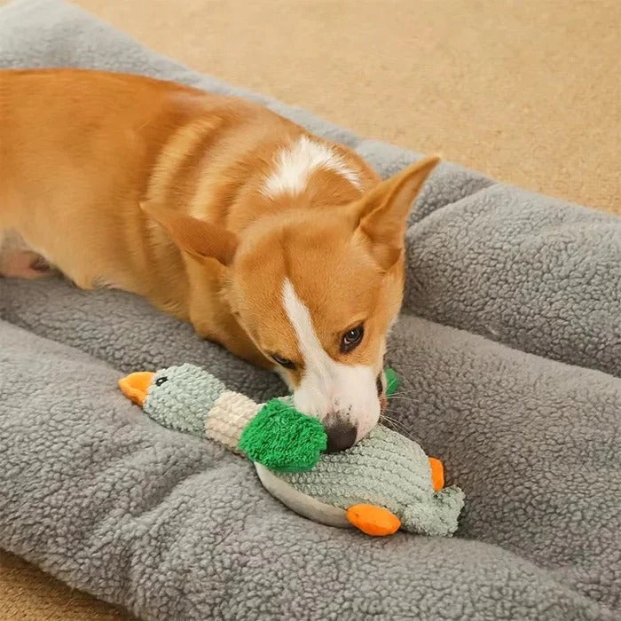Durable Reinforced Goose Plush Dog Toy with Textured Fabric for Ultimate Chewing Fun