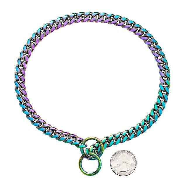 Adjustable Stainless Steel Dog Training Collar with Durable Chain - Perfect Fit for All Breeds