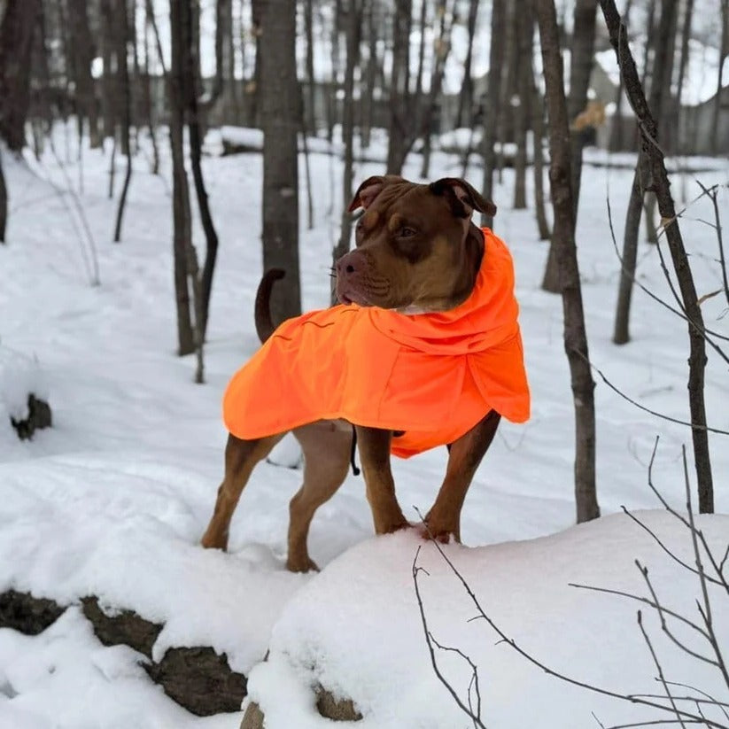Reflective Waterproof & Windproof Dog Rain Jacket - Full Body Coverage for Ultimate Protection