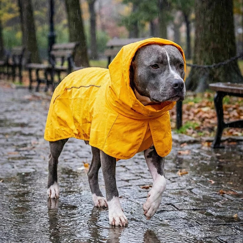 Reflective Waterproof & Windproof Dog Rain Jacket - Full Body Coverage for Ultimate Protection