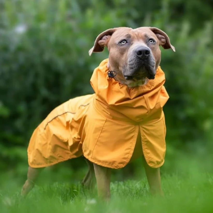 Reflective Waterproof & Windproof Dog Rain Jacket - Full Body Coverage for Ultimate Protection