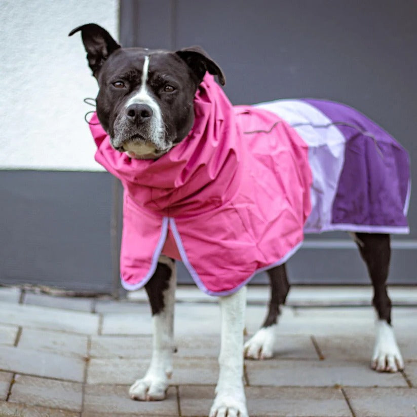 Reflective Waterproof & Windproof Dog Rain Jacket - Full Body Coverage for Ultimate Protection