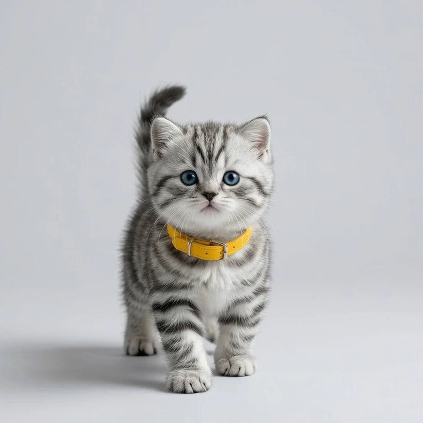 Interactive Battery-Operated Plush Cat Toy with Walking Motion and Sound Effects – Perfect for Kids