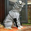 Adjustable Waterproof Dog Raincoat - Perfect Fit for All Breeds
